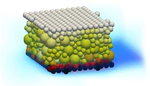 Grain-scale study on the sheared granular element