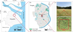 Experimental study on long-term performance of new urban green space soil for sponge city construction